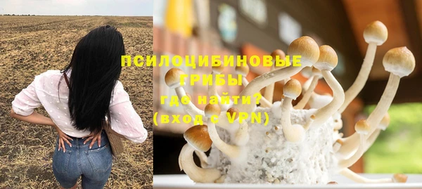 гашик Волоколамск