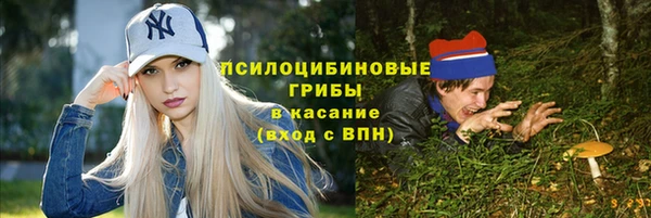 гашик Волоколамск